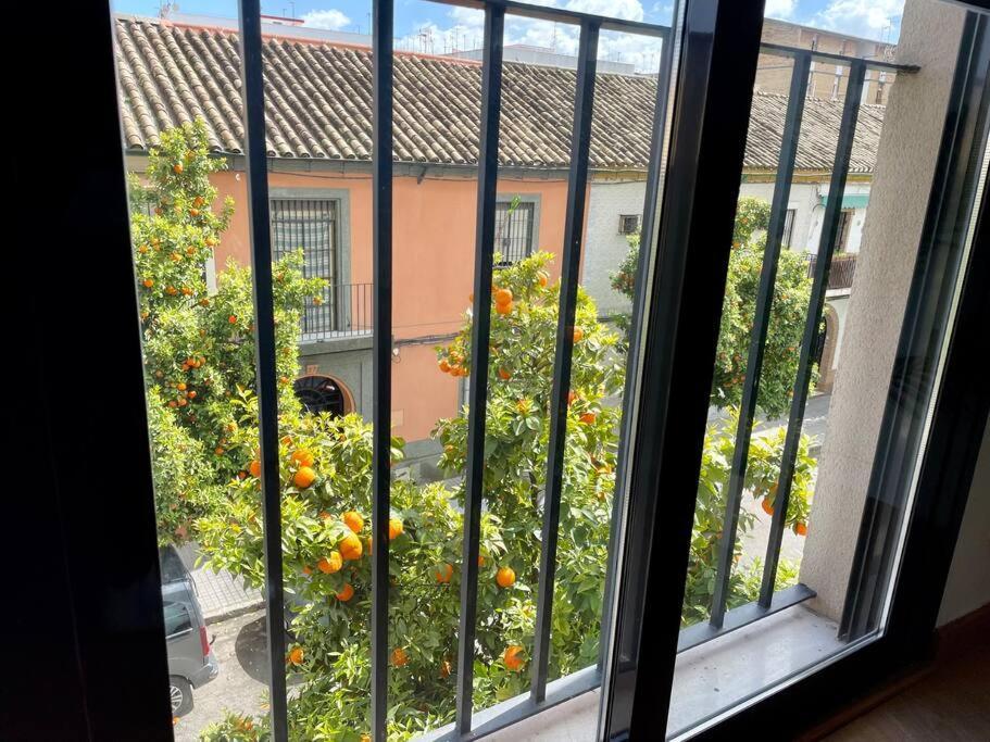 El Balcon De Los Naranjos Córdoba Eksteriør bilde